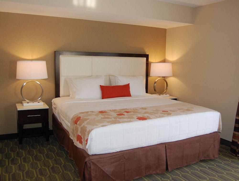 Hawthorn Suites by Wyndham Indianapolis North - Guestroom