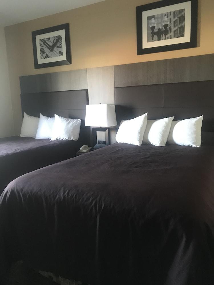 Quality Suites - Room