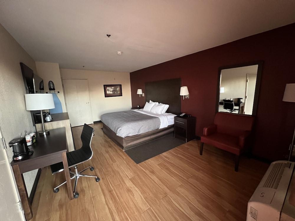 Quality Inn & Suites I-10 near Fiesta Texas - Room