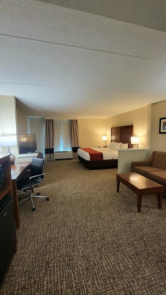 Comfort Inn And Suites Airport - Room