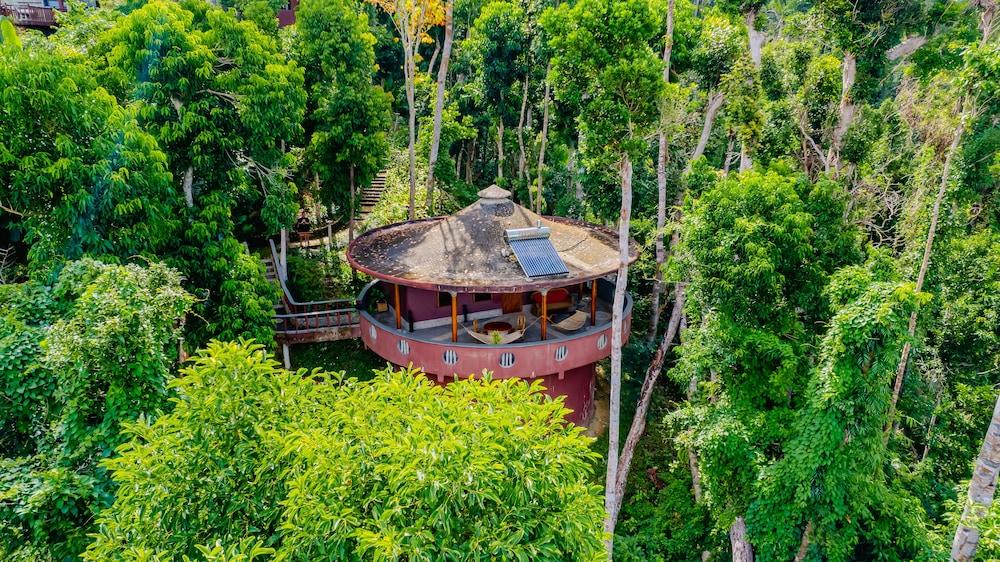Atremaru Jungle Retreat - Aerial View