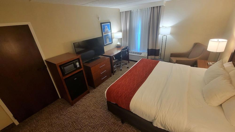 Comfort Inn And Suites Airport - Room