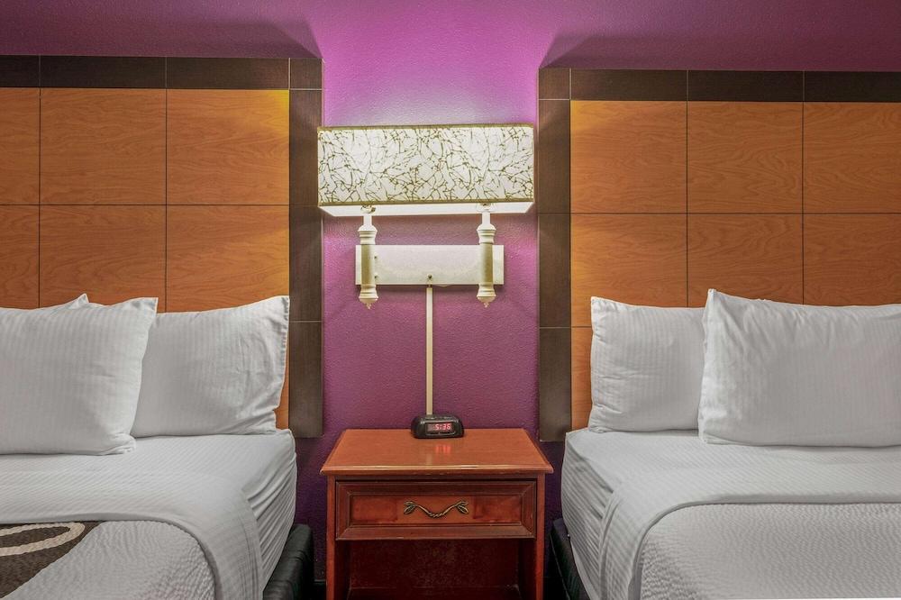 La Quinta Inn & Suites by Wyndham Naples East (I-75) - Room