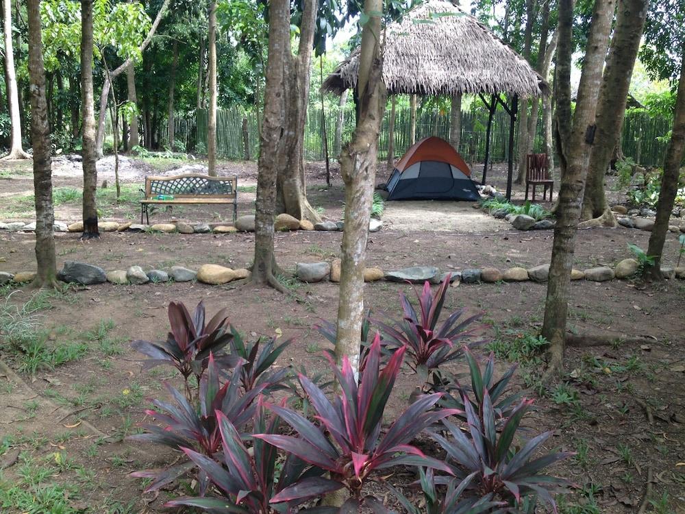 Tent and Breakfast at Irawan Park - Property Grounds