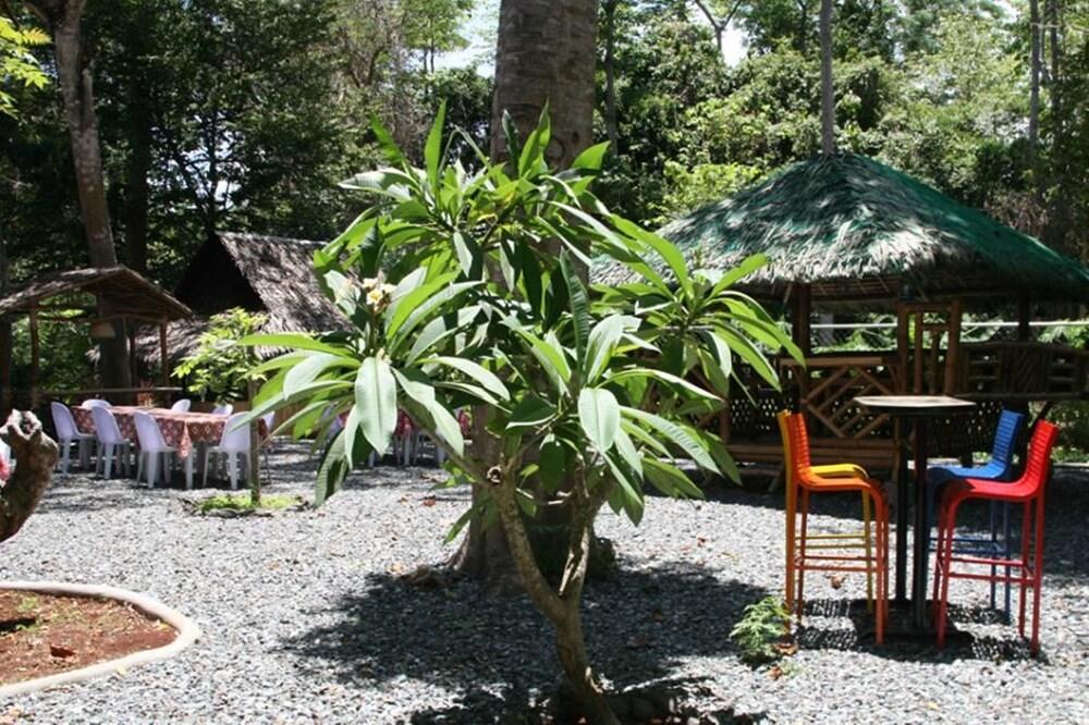 Bamboo Rooms & Cottages by Dang Maria BB - Property Grounds