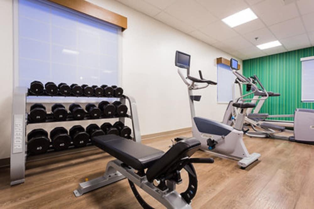 Holiday Inn Express And Suites Reading, an IHG Hotel - Fitness Facility