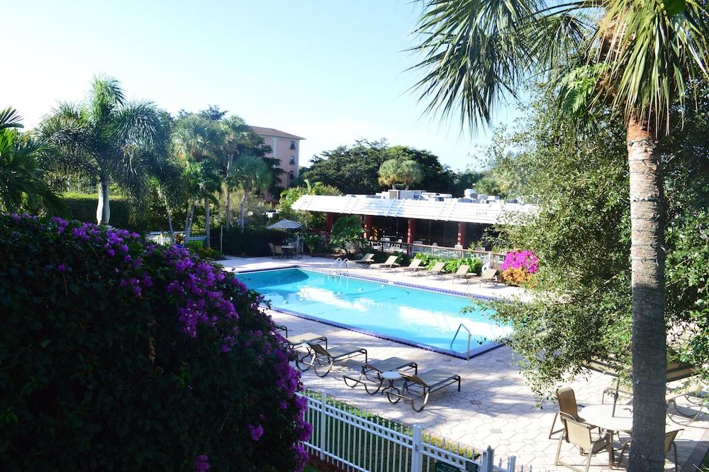 Collins Hotel Naples - Pool