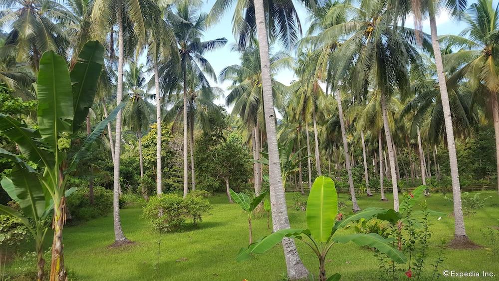 Mangrove Resort - Property Grounds