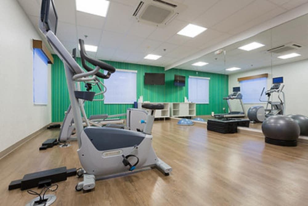 Holiday Inn Express And Suites Reading, an IHG Hotel - Fitness Facility