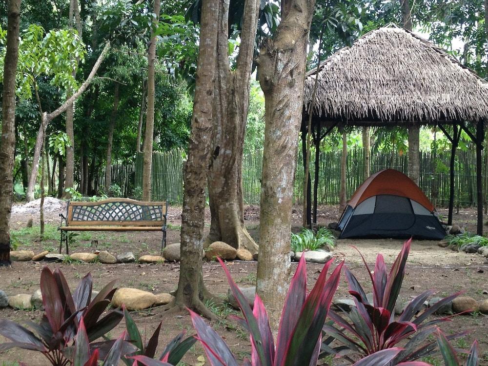 Tent and Breakfast at Irawan Park - Property Grounds